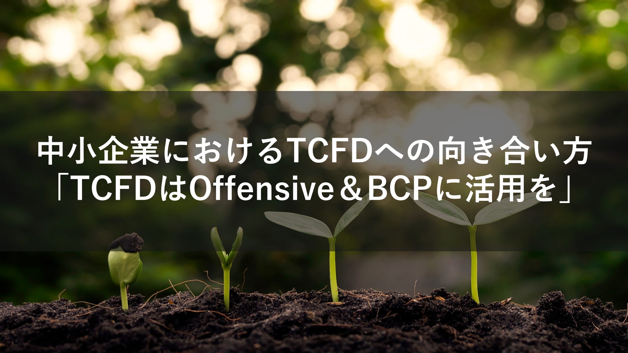 中小企業におけるTCFDへの向き合い方「TCFDはOffensive＆BCPに活用を」